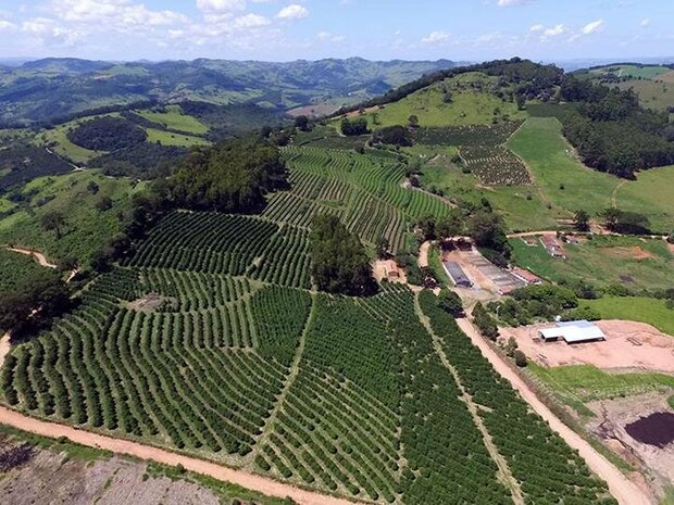 Capricornio Pioneiro - Brazil